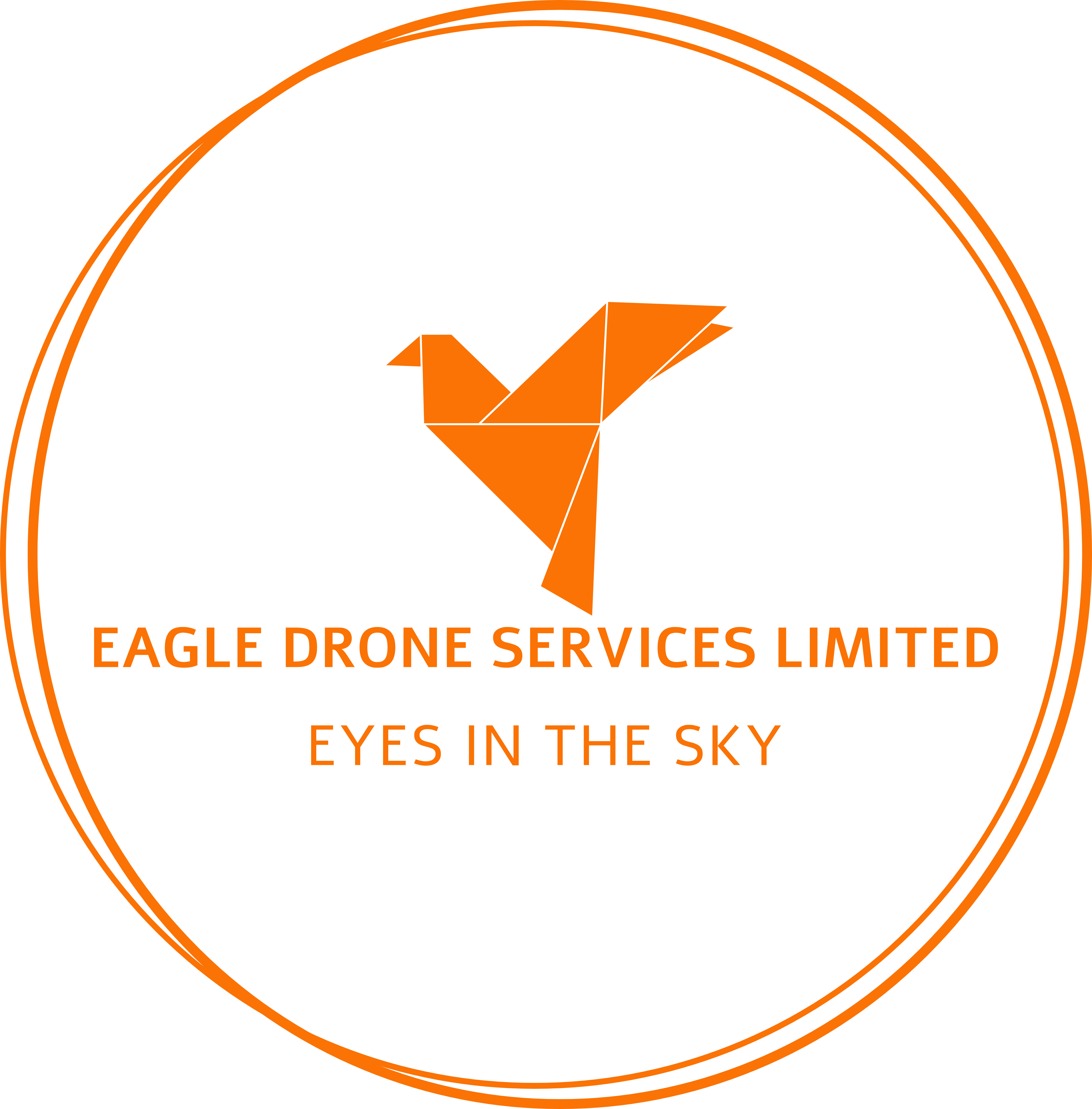 Eagle Drone Services Logo