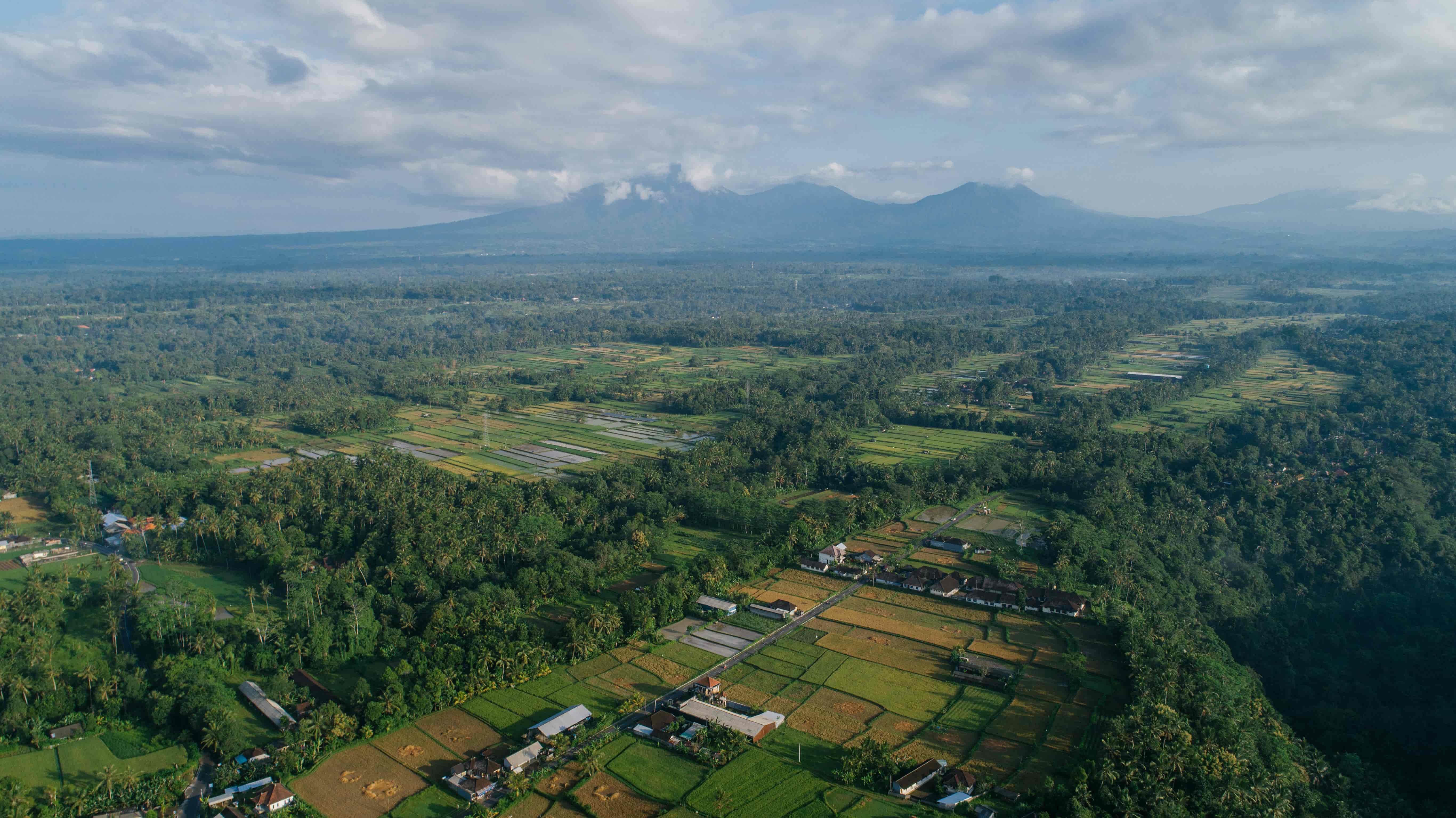 Aerial Photography Drone