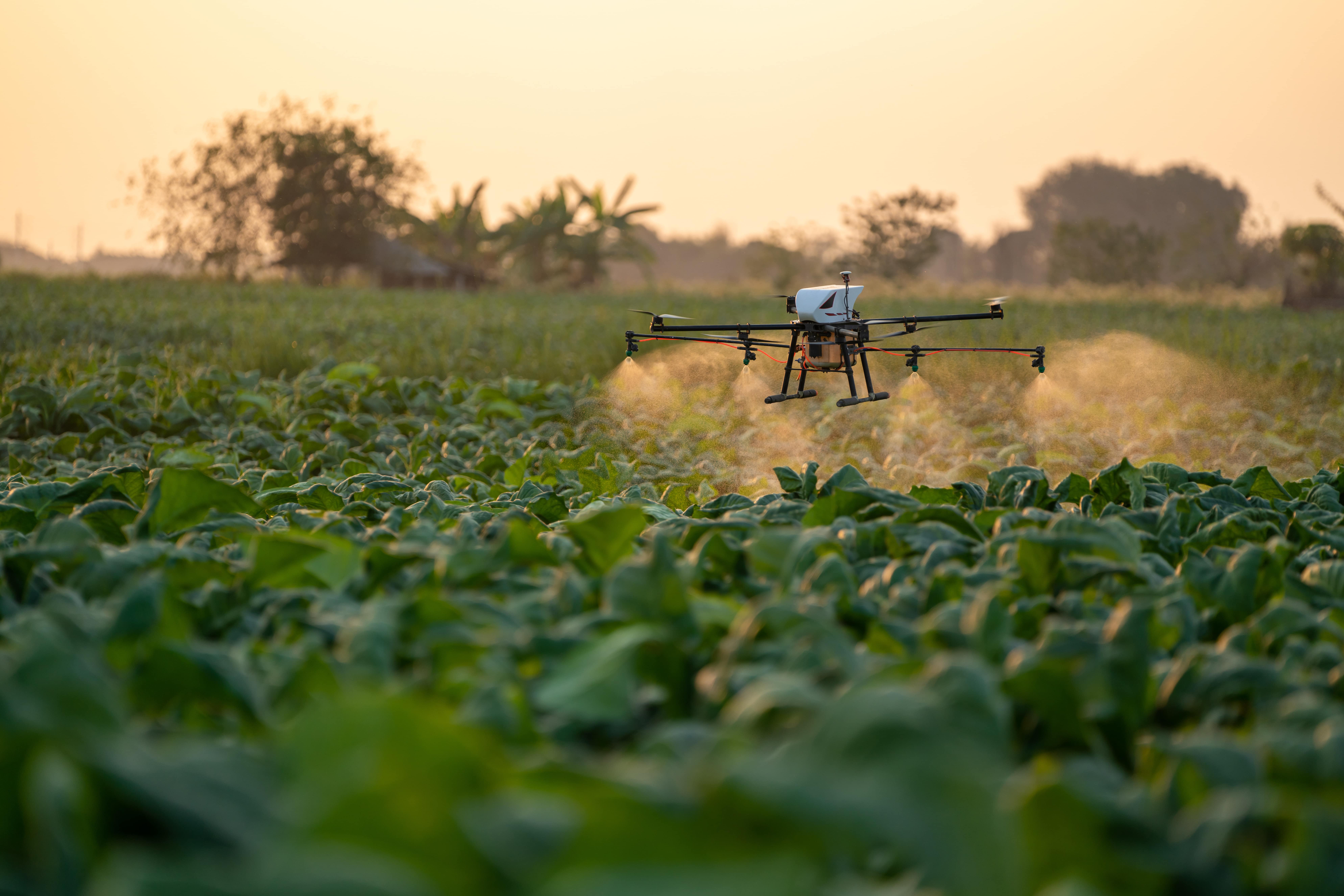 Precision Agriculture