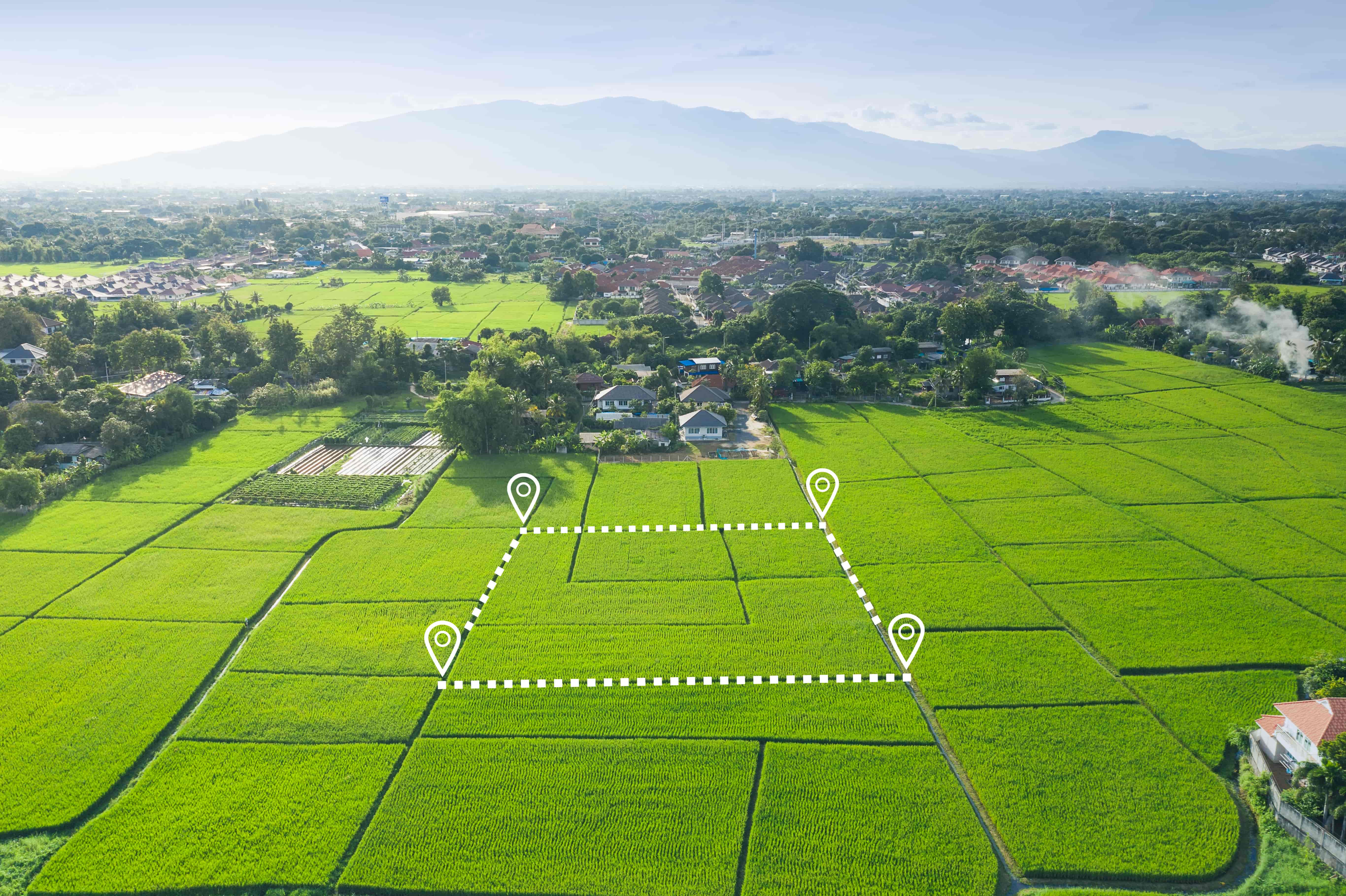 Mapping and Survey Drone